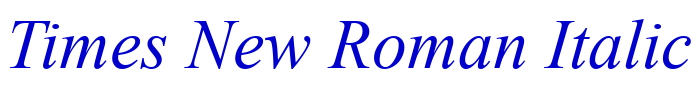 Times New Roman Italic Schriftart